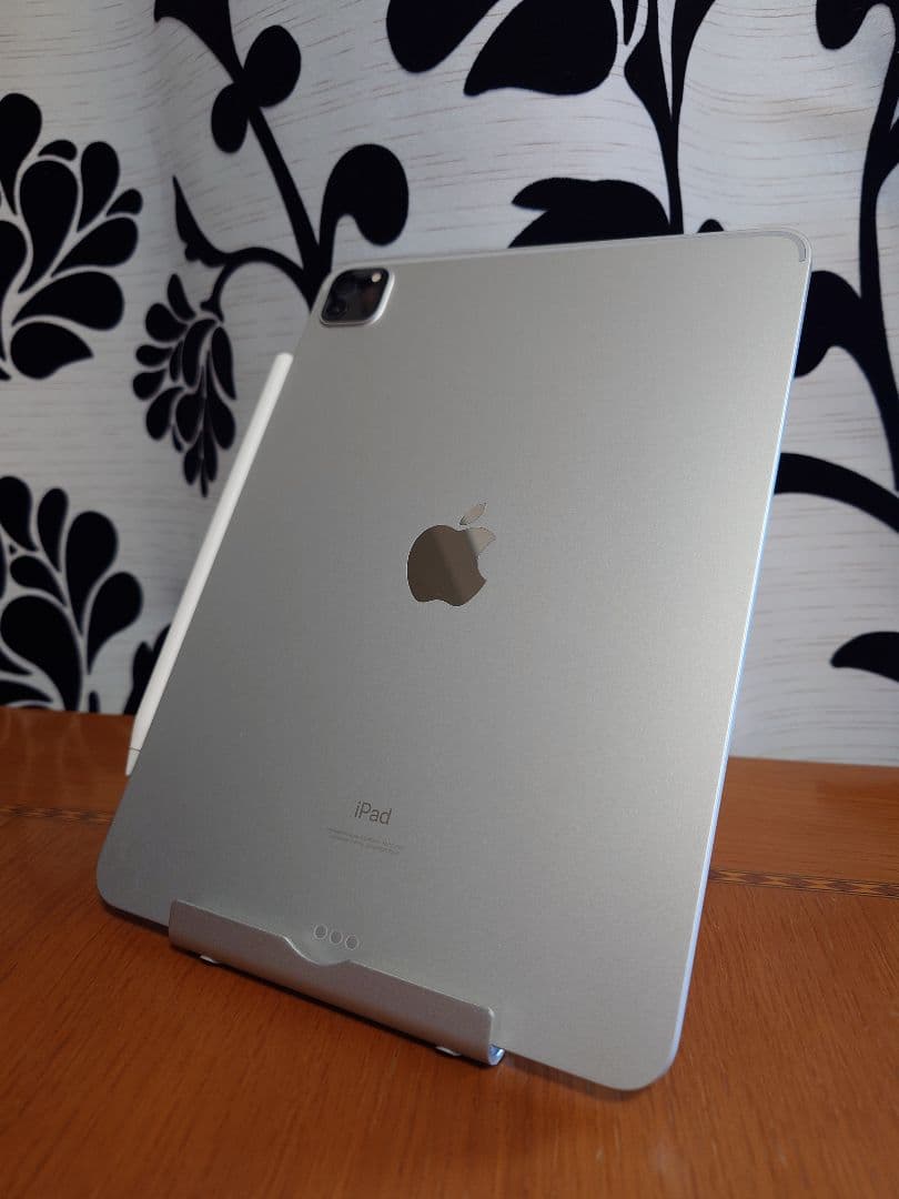 第3世代 iPad Pro 11インチ 256GB Apple Pencil付