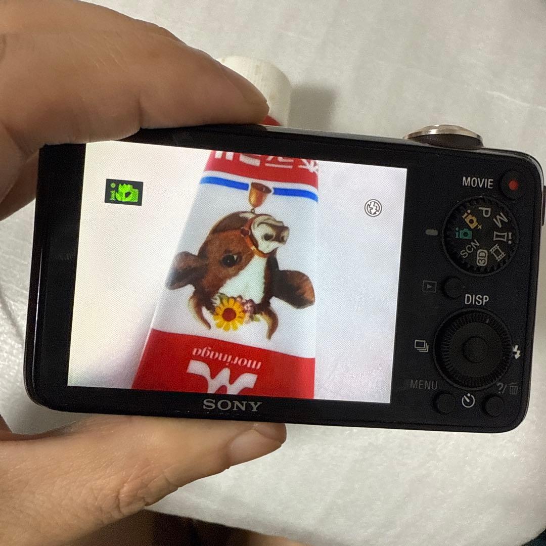 ❗️激安価格❗️デジカメ　本体　SONY DSC-WX10 現状品