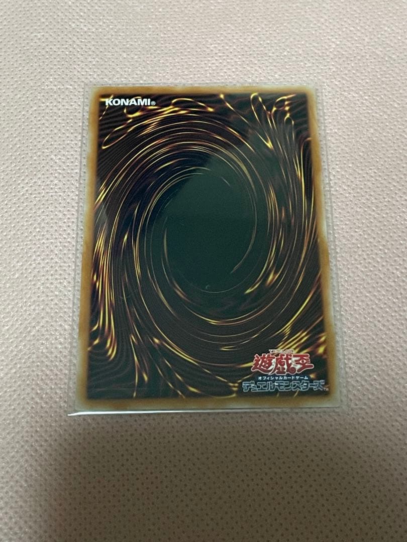 遊戯王 サンダーボルト 絵違い 25thシークレット 1枚