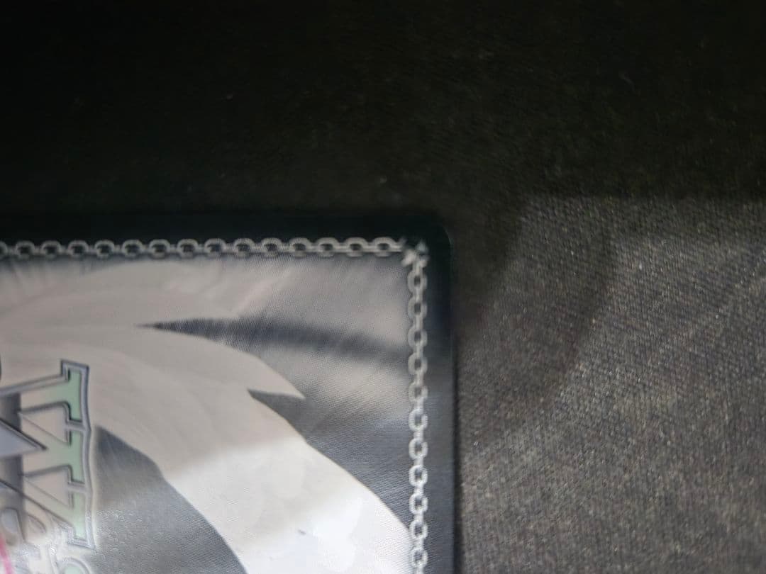 ヴァイスシュヴァルツロゼ AQUAPLUS 好き好き大好き 大作戦 環 ssp