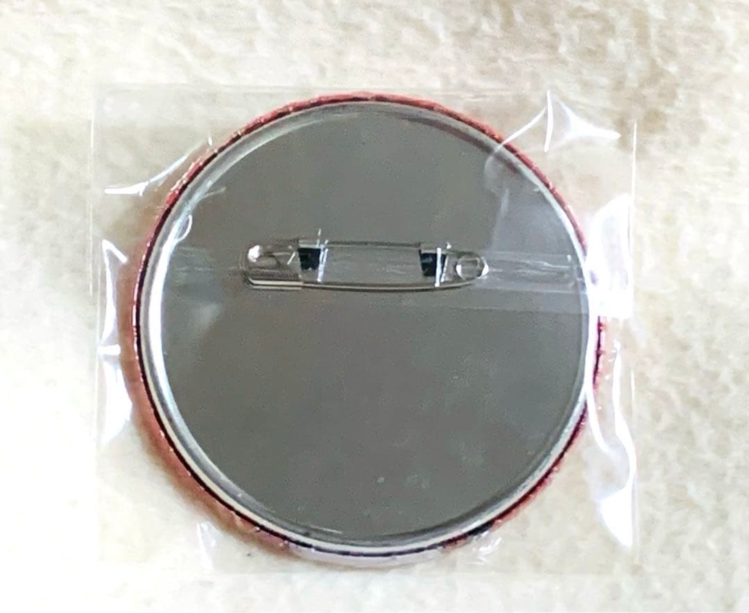 REBORN リボーン バッジ 天野明 獄寺 隼人