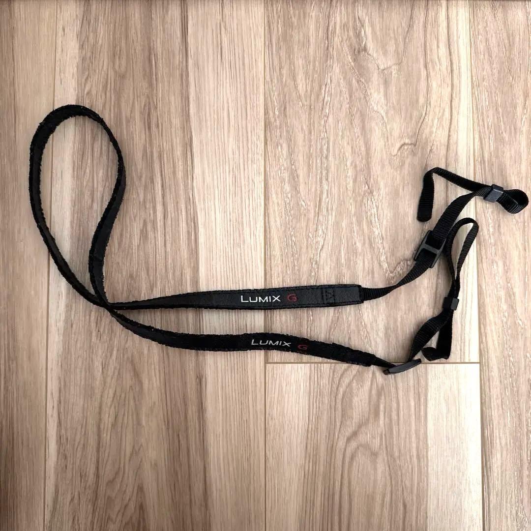 Panasonic LUMIX DC-GF9 オレンジ