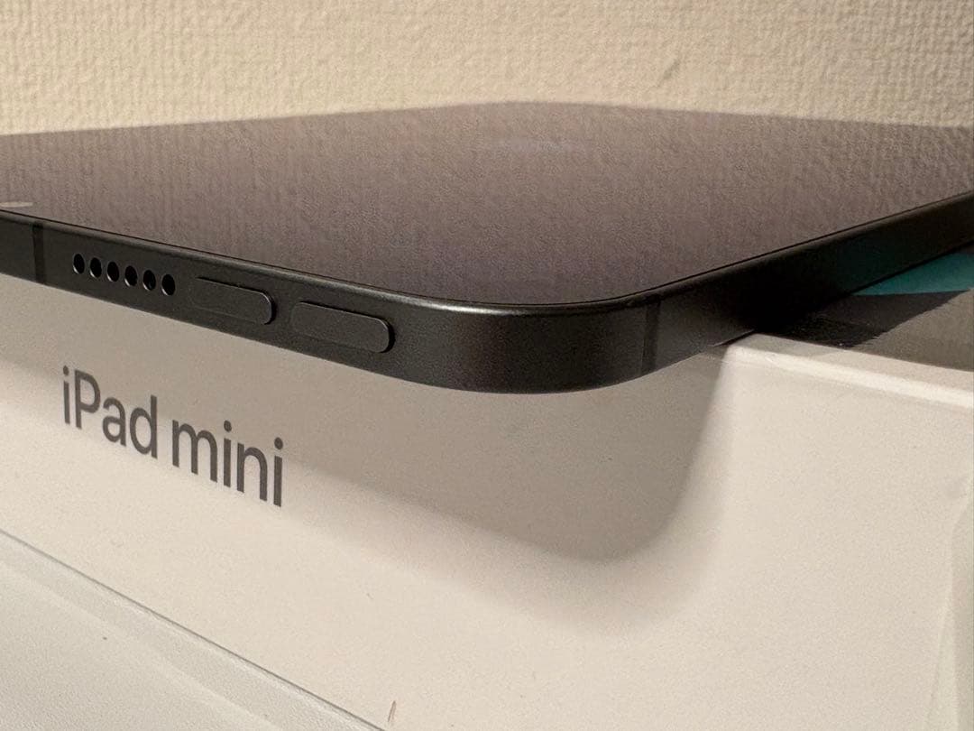 iPad mini 第６世代 セルラーモデル 256GBスペースグレイ