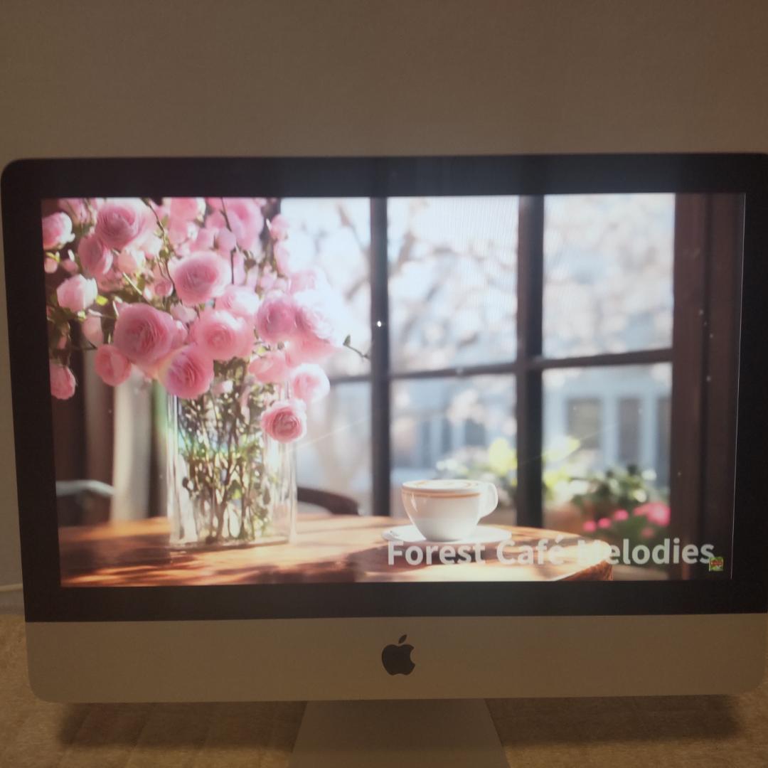 iMac 21.5インチ Late2013 メモリ8GB HDD1TB