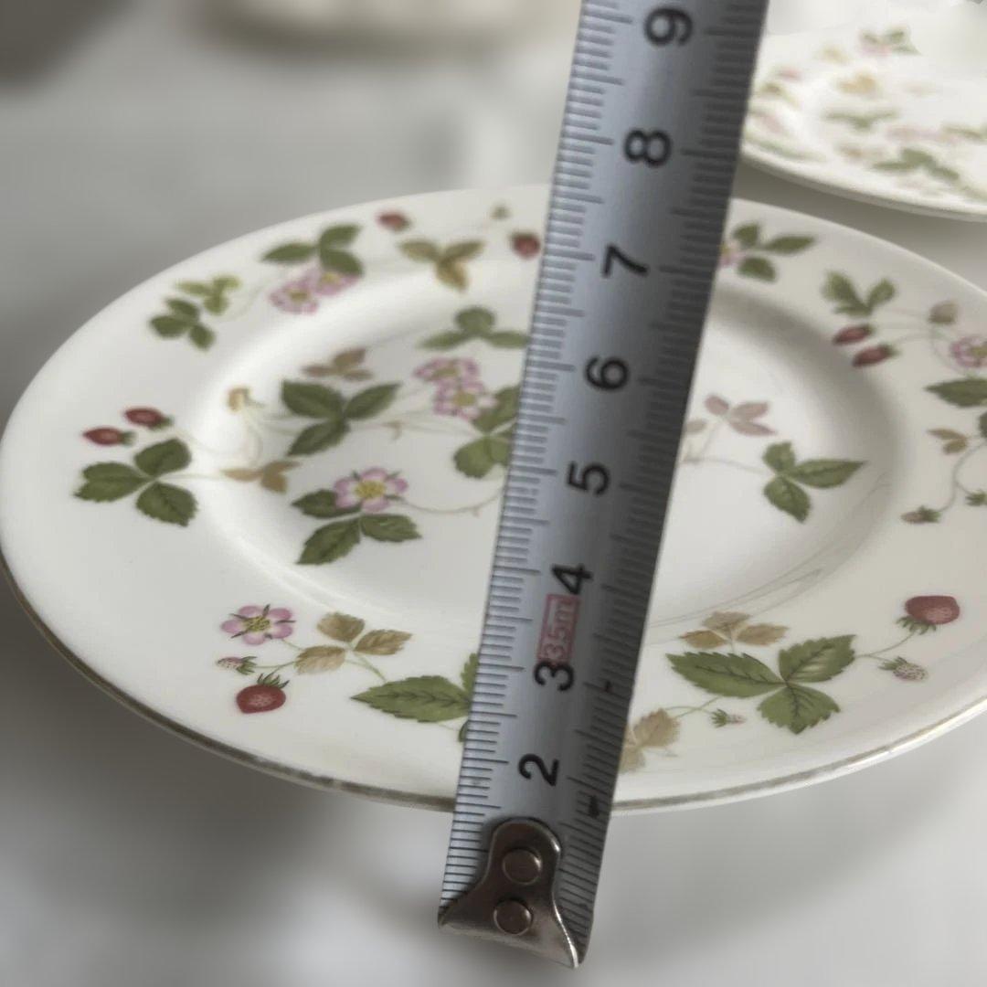 【5枚セット】 Wild Strawberry 皿