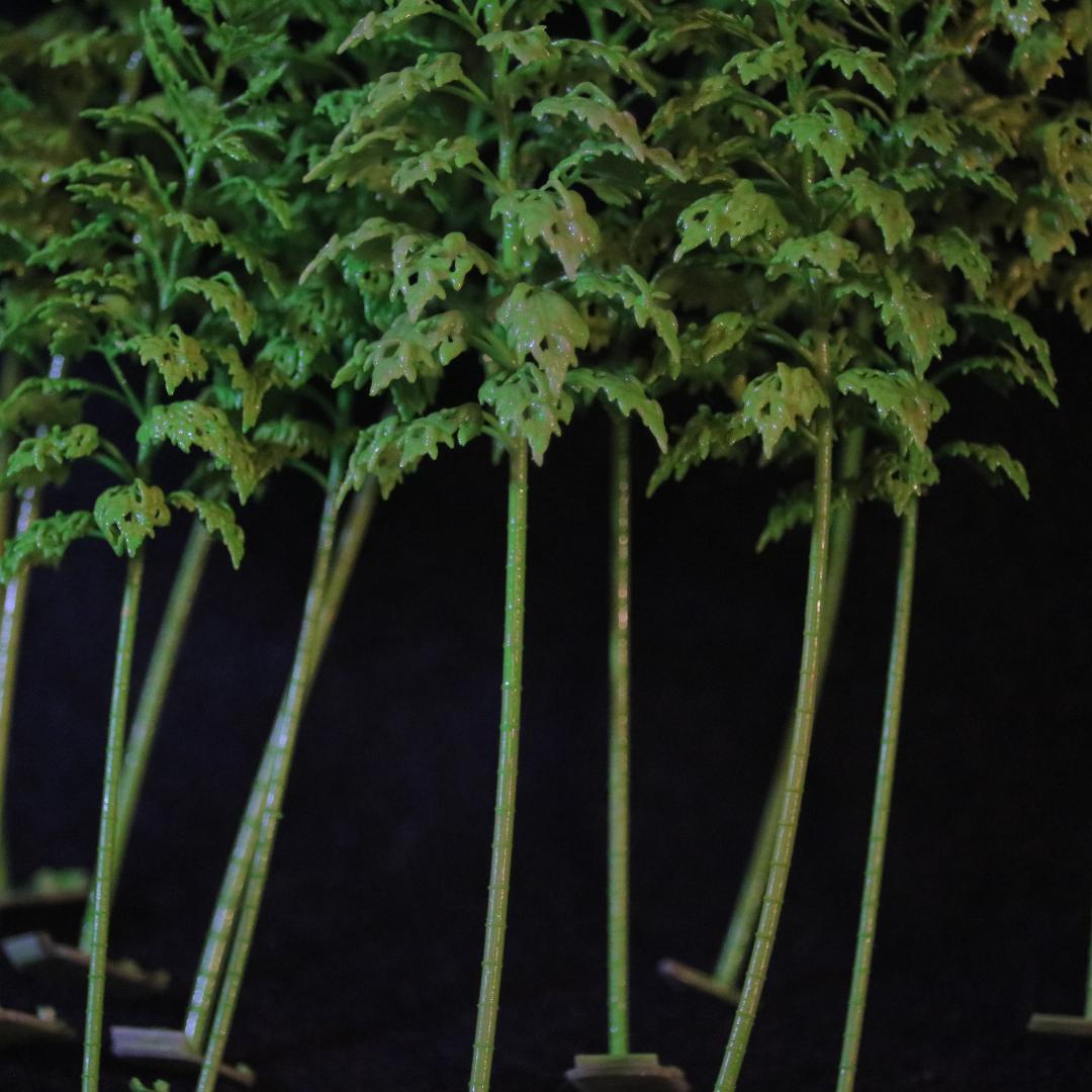 [ギーちゃん]節までリアルな竹の模型（1/150×60本）未塗装・新v