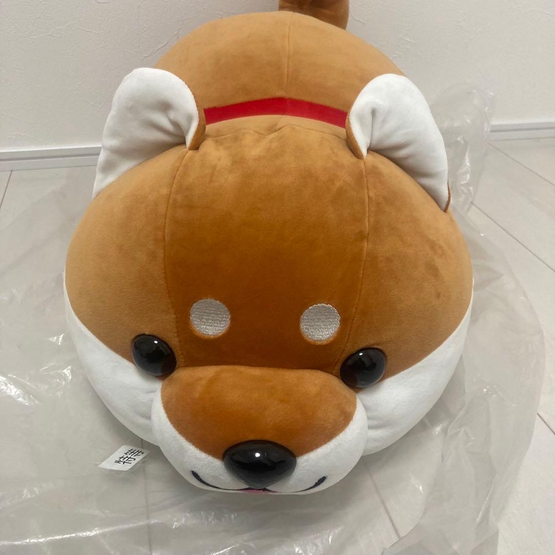 ハッピーまめしばくじ ぬいぐるみくじ 【特賞】 特大 特等 柴犬 豆柴