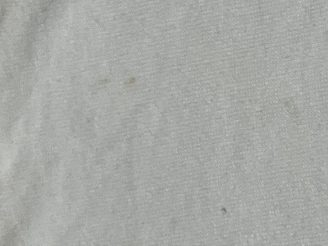 猪俣周杜 猪戸周杜 Tシャツ 生誕 8iper timelesz