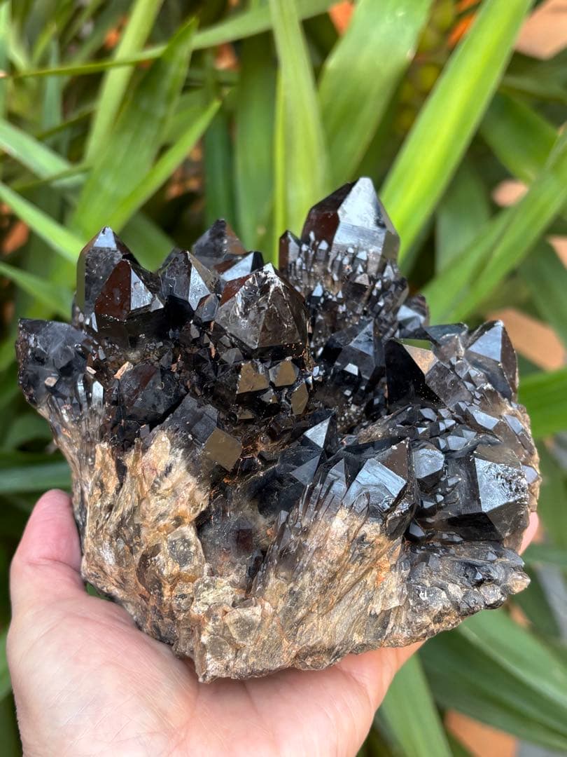 コンゴ産　モリオンクラスター　2200g 形姿良し　カッコいい　天然石