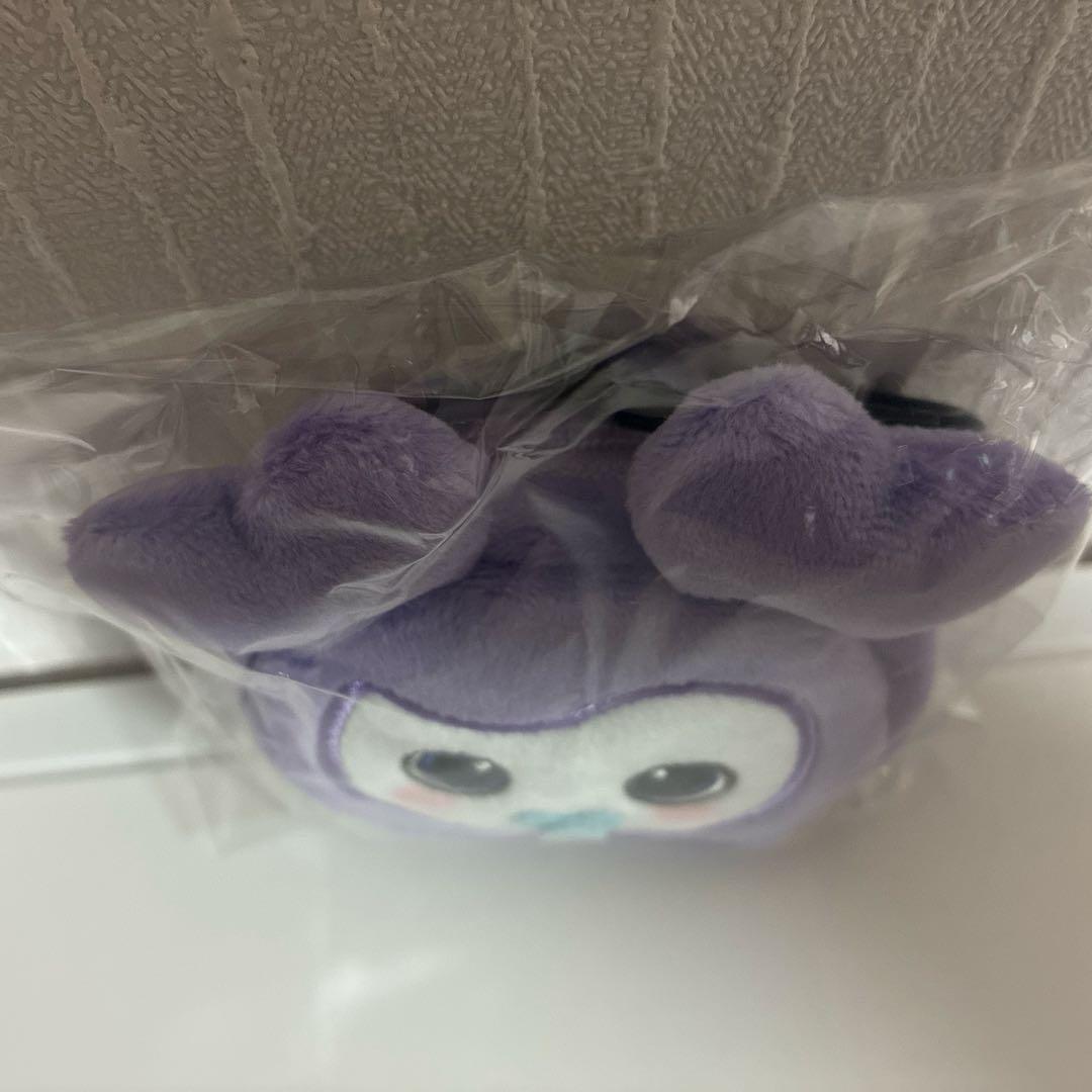 TWICE サナサブリー イヤホンポーチ