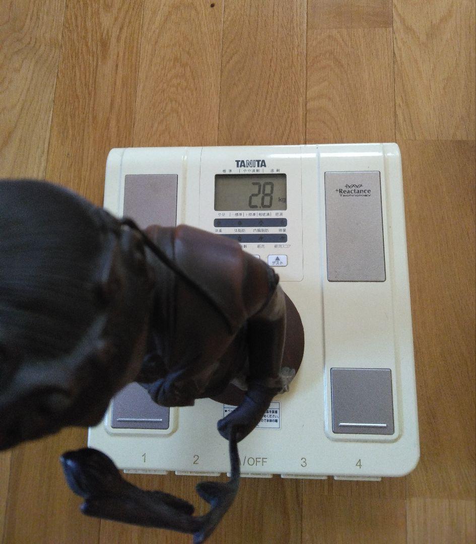 高村光雲原型　聖観音菩薩像　骨董品