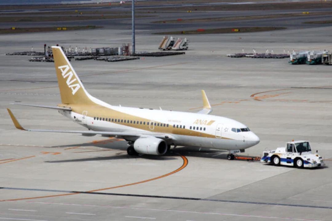 ANA Aviationtag B737-700 レアな薄青と白コンビ