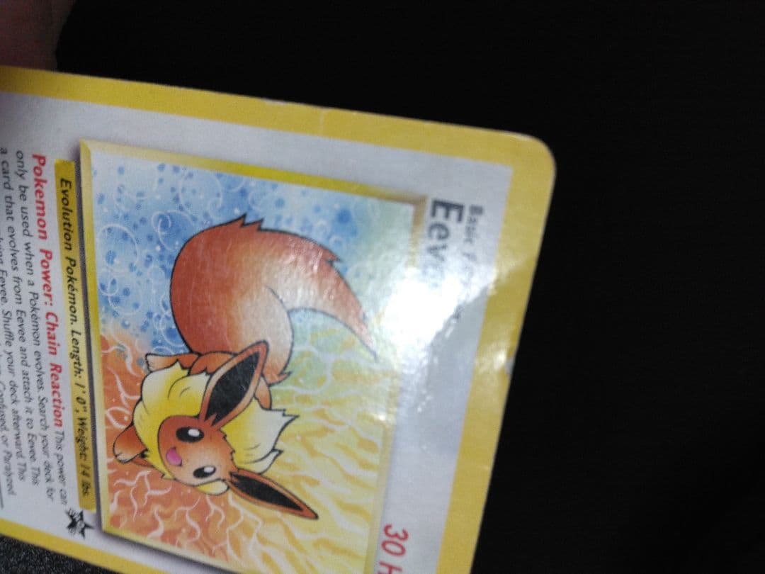 Eevee イーブイ　ポケモンカード プロモ　スタンプラリー