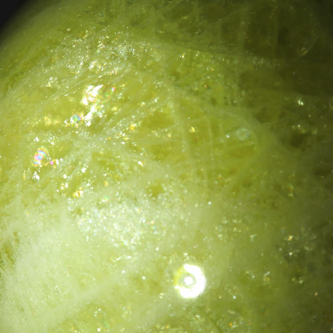 リーダー出品（他の方は購入をご遠慮ください）