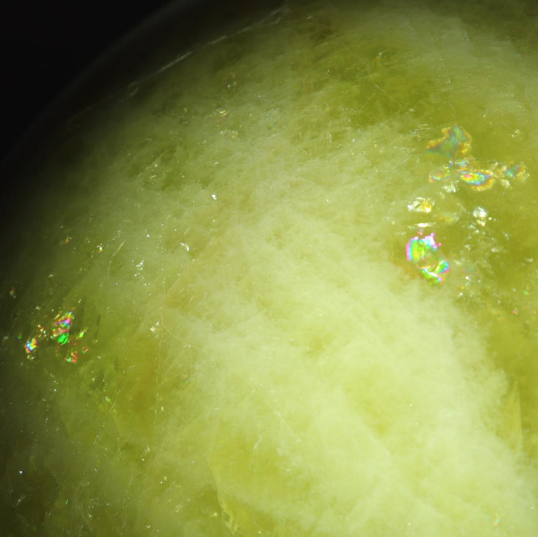 リーダー出品（他の方は購入をご遠慮ください）