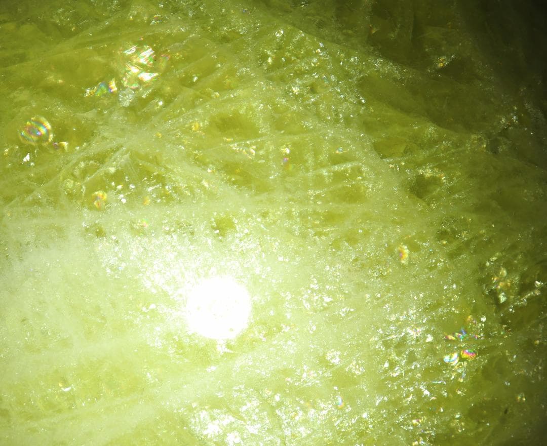 リーダー出品（他の方は購入をご遠慮ください）