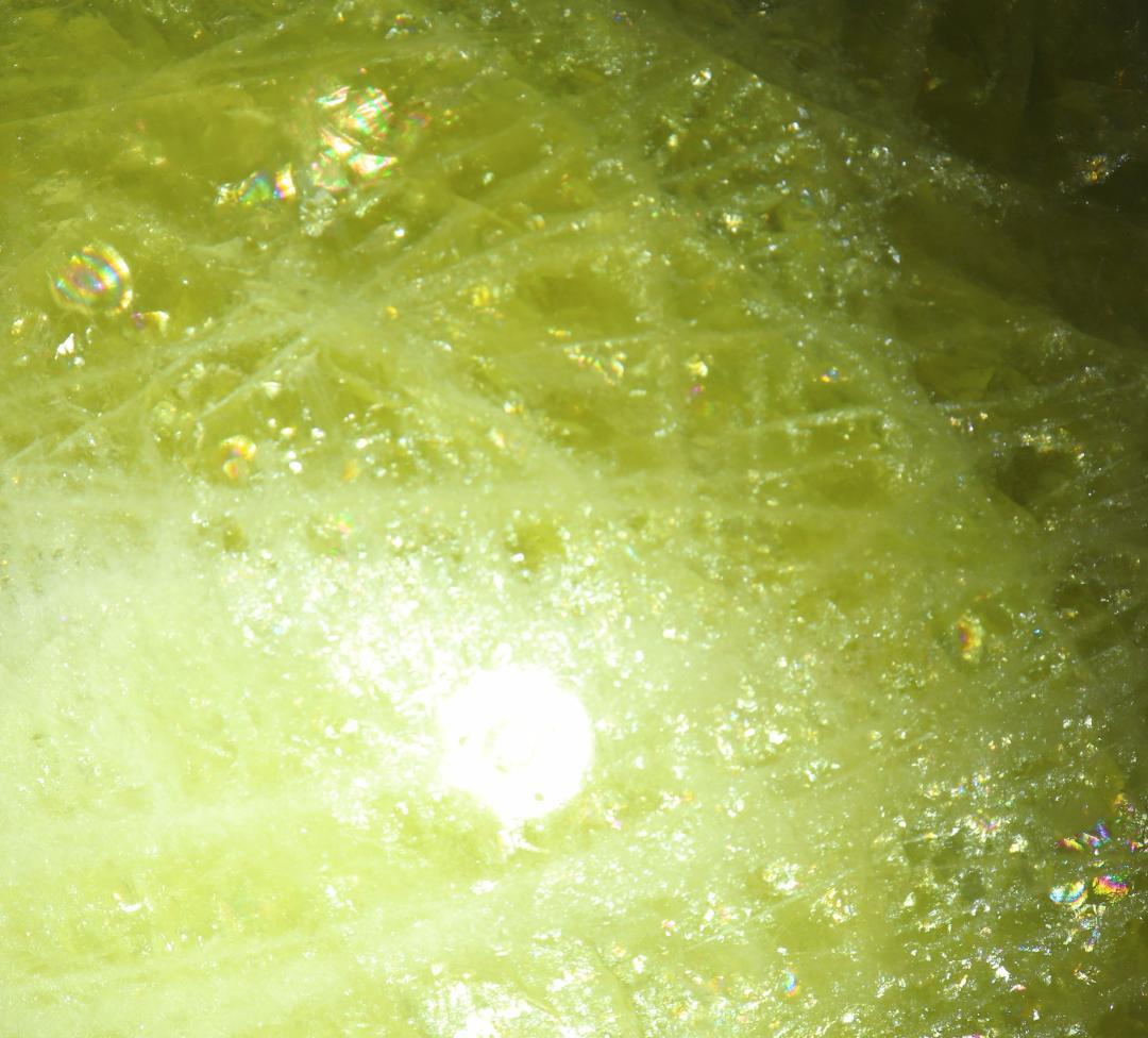 リーダー出品（他の方は購入をご遠慮ください）