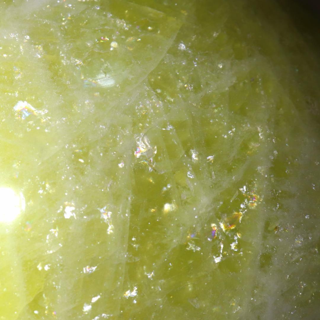 リーダー出品（他の方は購入をご遠慮ください）