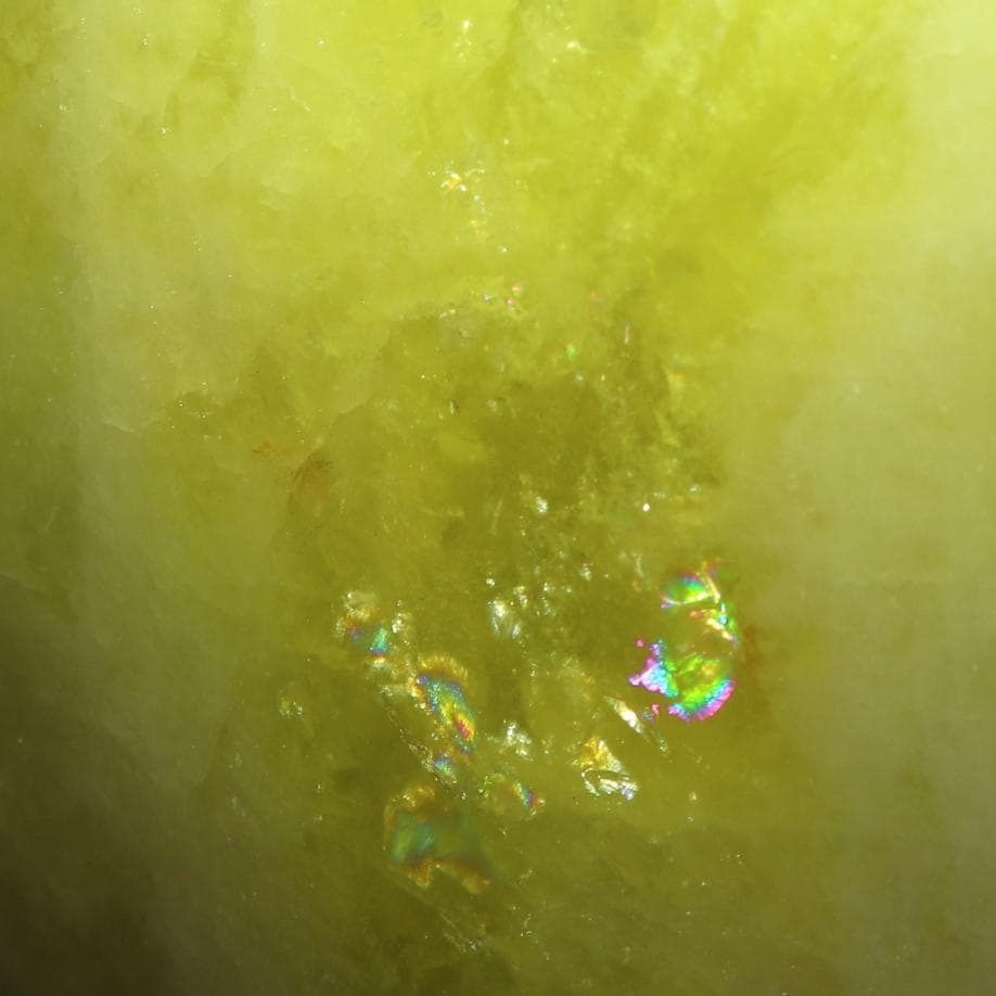 リーダー出品（他の方は購入をご遠慮ください）