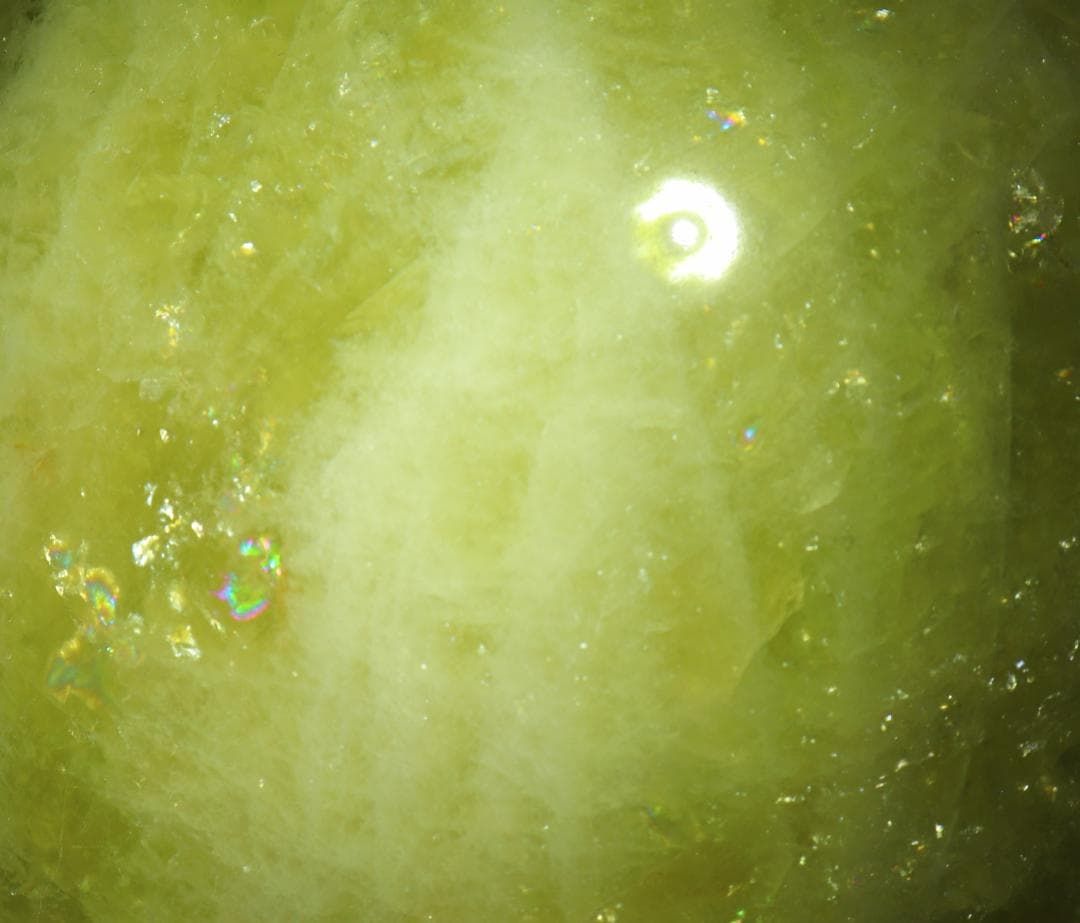 リーダー出品（他の方は購入をご遠慮ください）