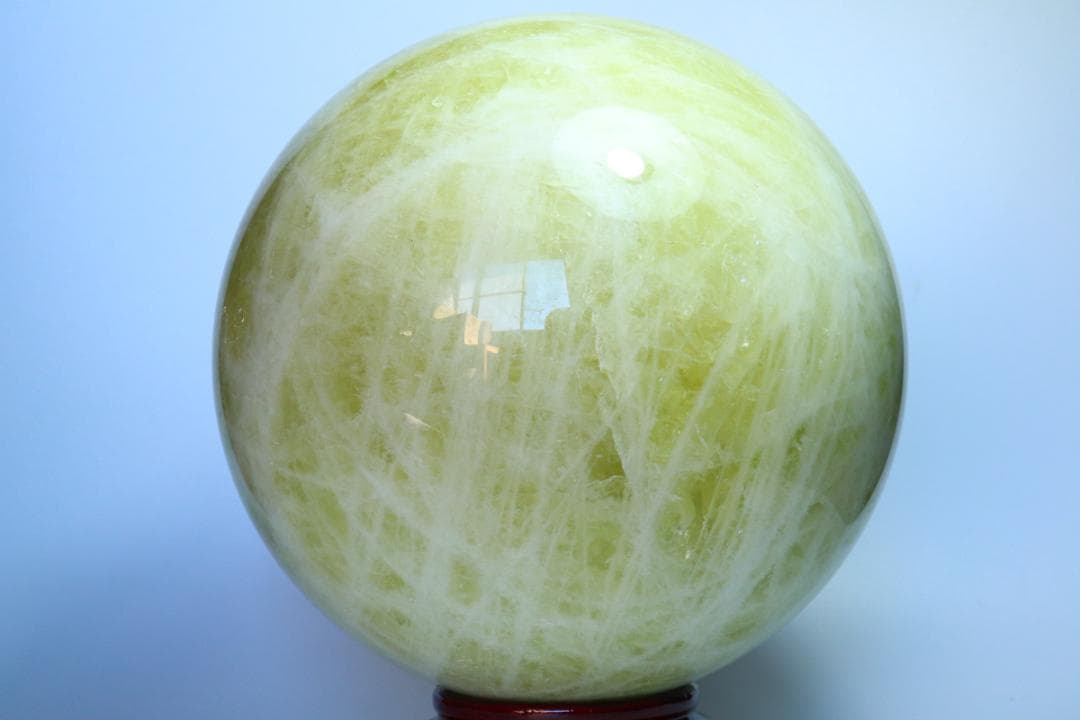 リーダー出品（他の方は購入をご遠慮ください）