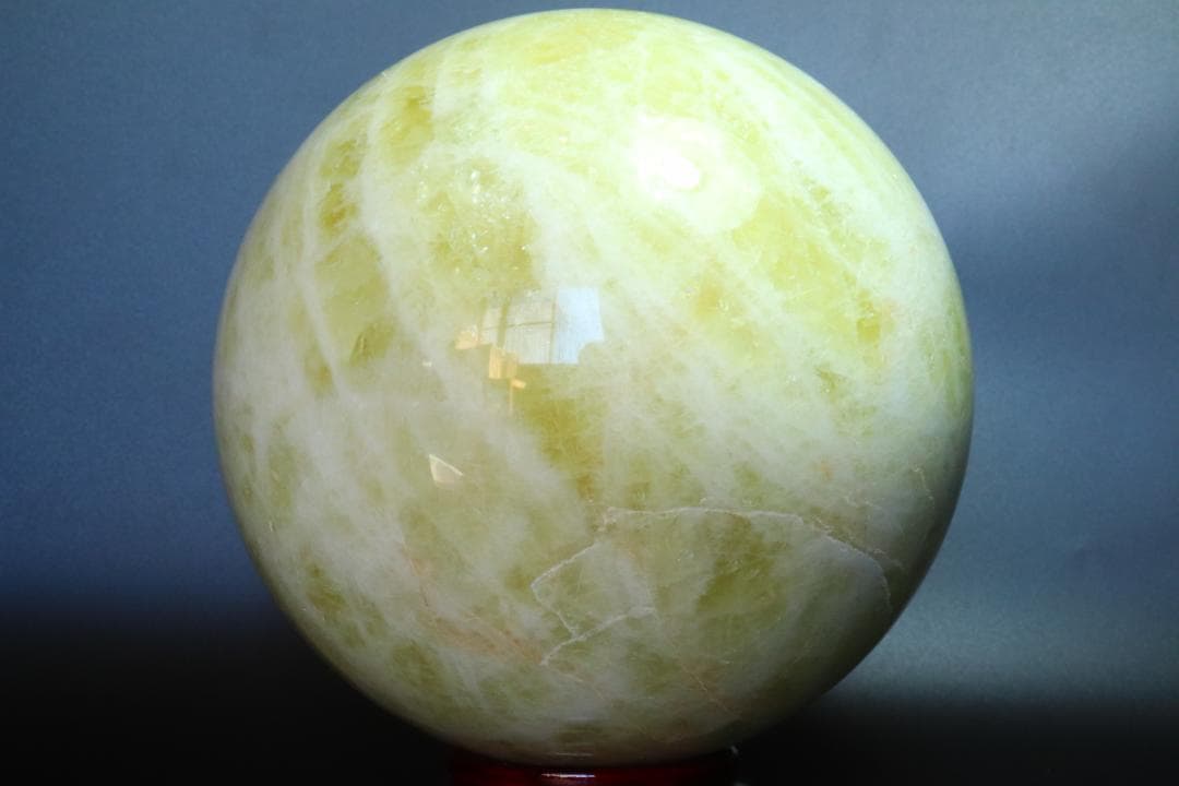 リーダー出品（他の方は購入をご遠慮ください）