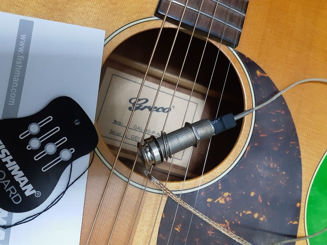 限界価格 Greco 後付Fishman搭載 トップ単板 (手渡OK)