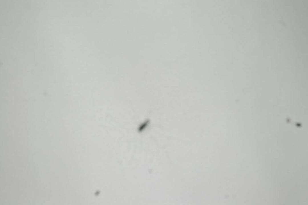 PENTAX K100D レンズキット 《 S数6901回 動作確認済 乾電池