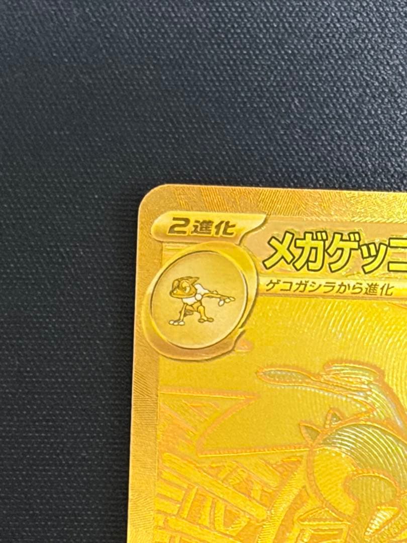 メガゲッコウガex mur