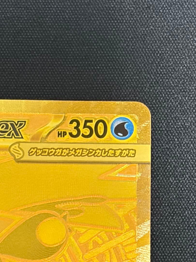 メガゲッコウガex mur