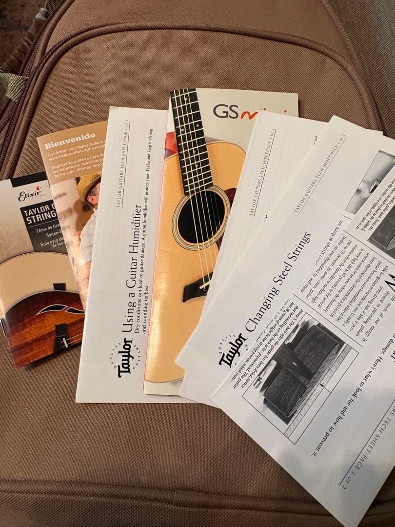 Taylor GS Mini アコースティックギター