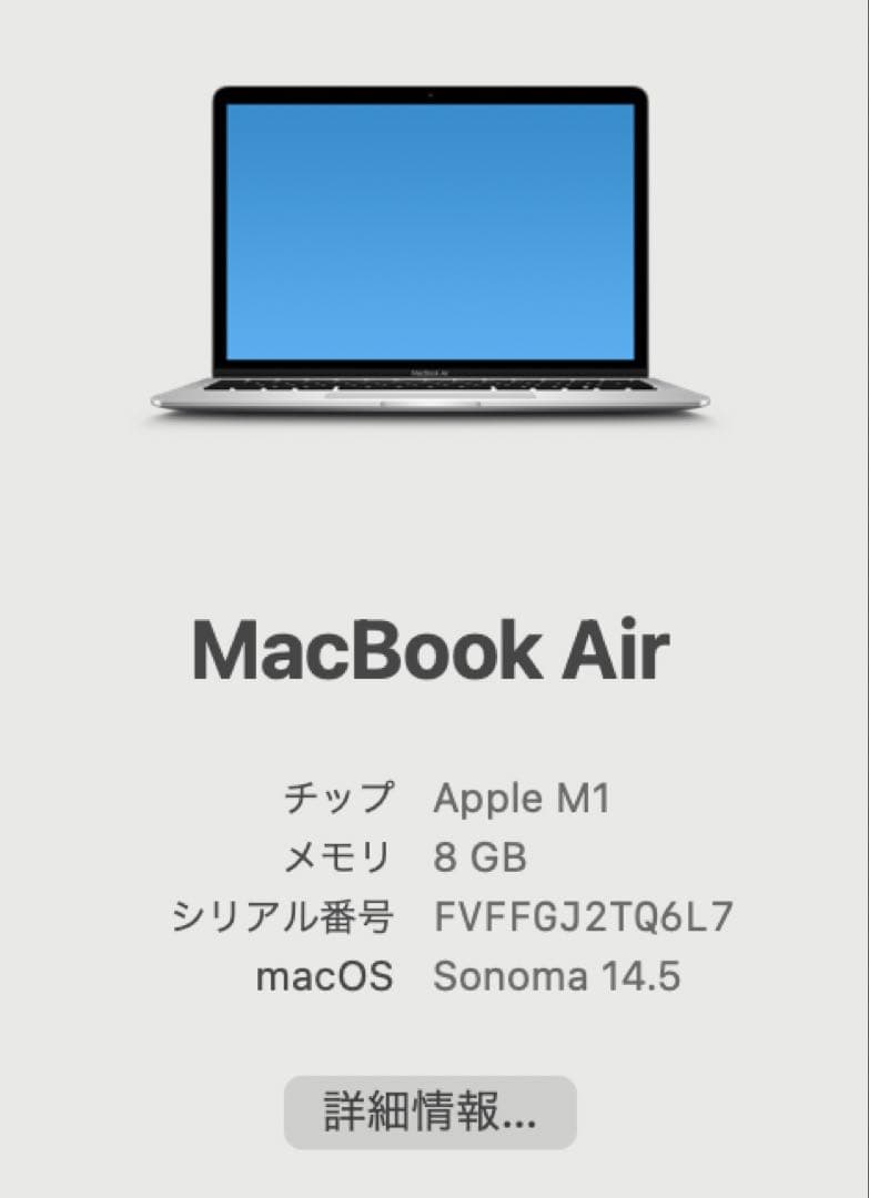 Apple MacBook Air M1 2020　256GB　8GB