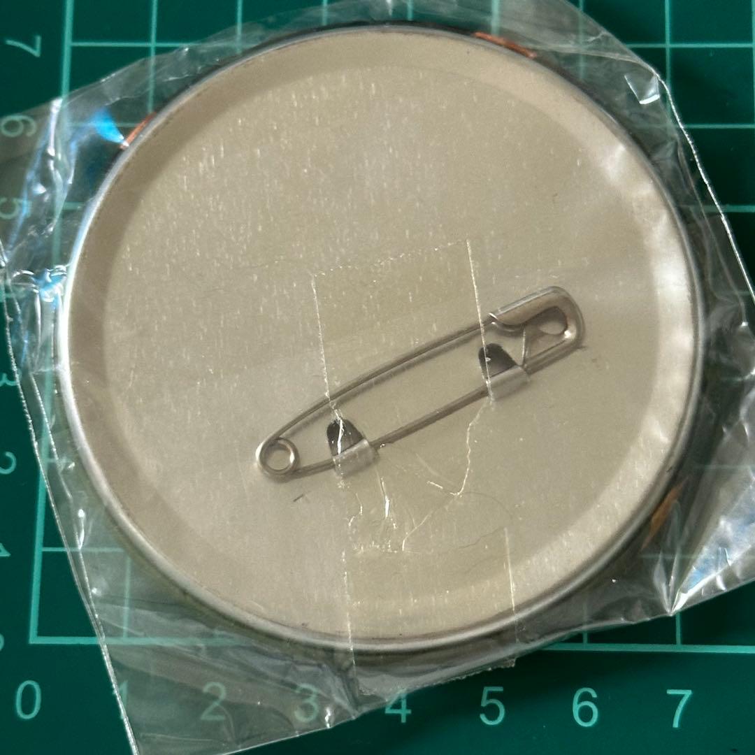 仮面ライダービルド エボルト　石動惣一　前川泰之　ブラッドスターク　缶バッジ