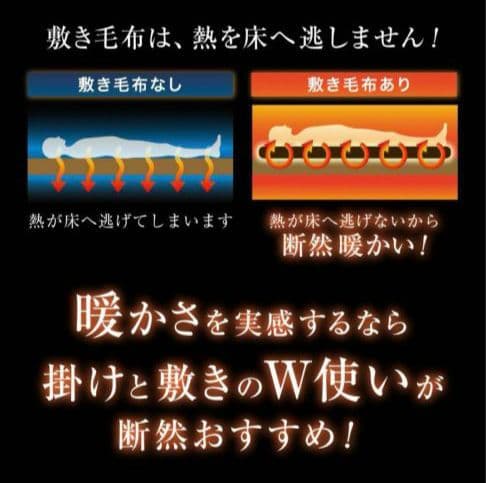 ◎新品 快眠博士 カルドニード・ノッテ3 リッチファー風敷き毛布 S✨️日本製