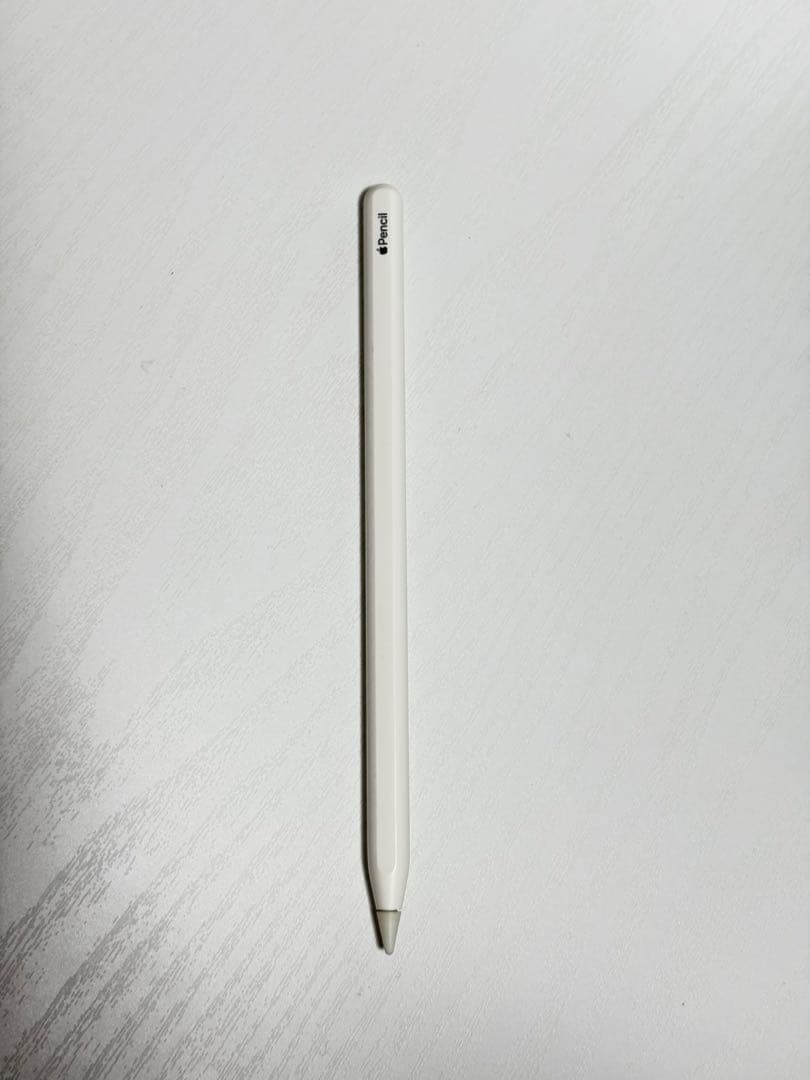 iPad Pro 第1世代 256GB Apple Pencil 第2世代　替芯