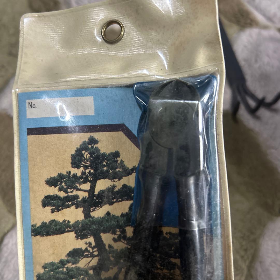 盆栽　 豊治作　又枝切　　盆栽　丸刃