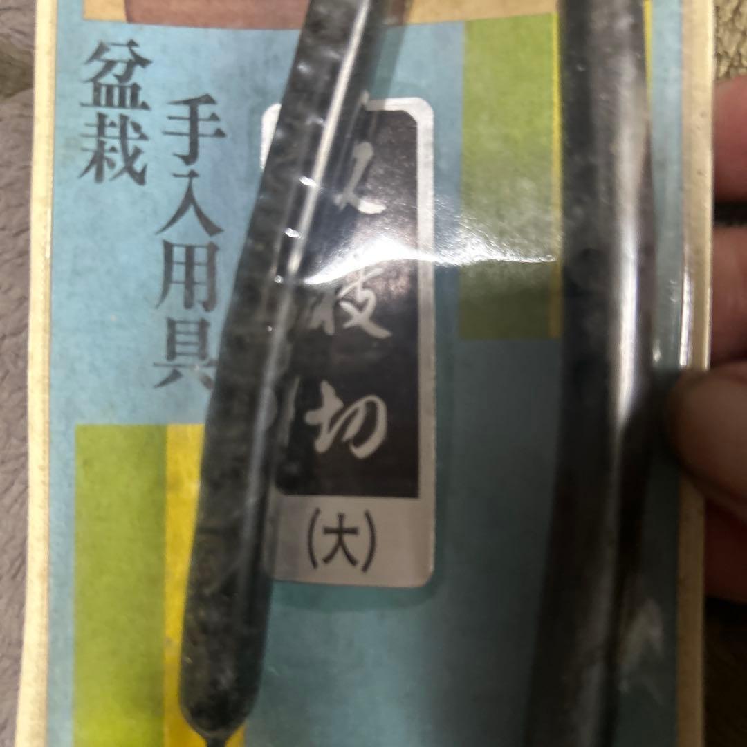 盆栽　 豊治作　又枝切　　盆栽　丸刃