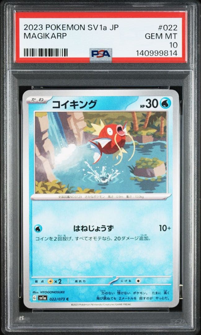 現品限り‼️ PSA10 世界で18枚‼️ コイキング　022