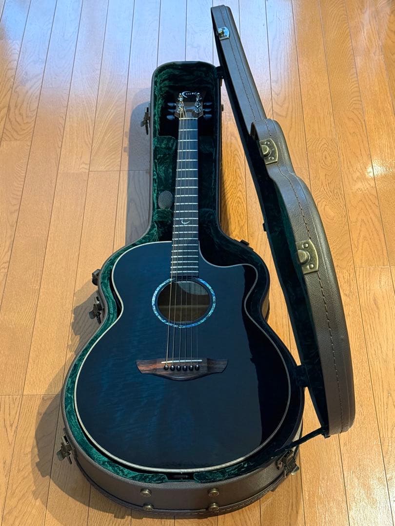 オール単板 Faith Blue Moon Venusエレアコ