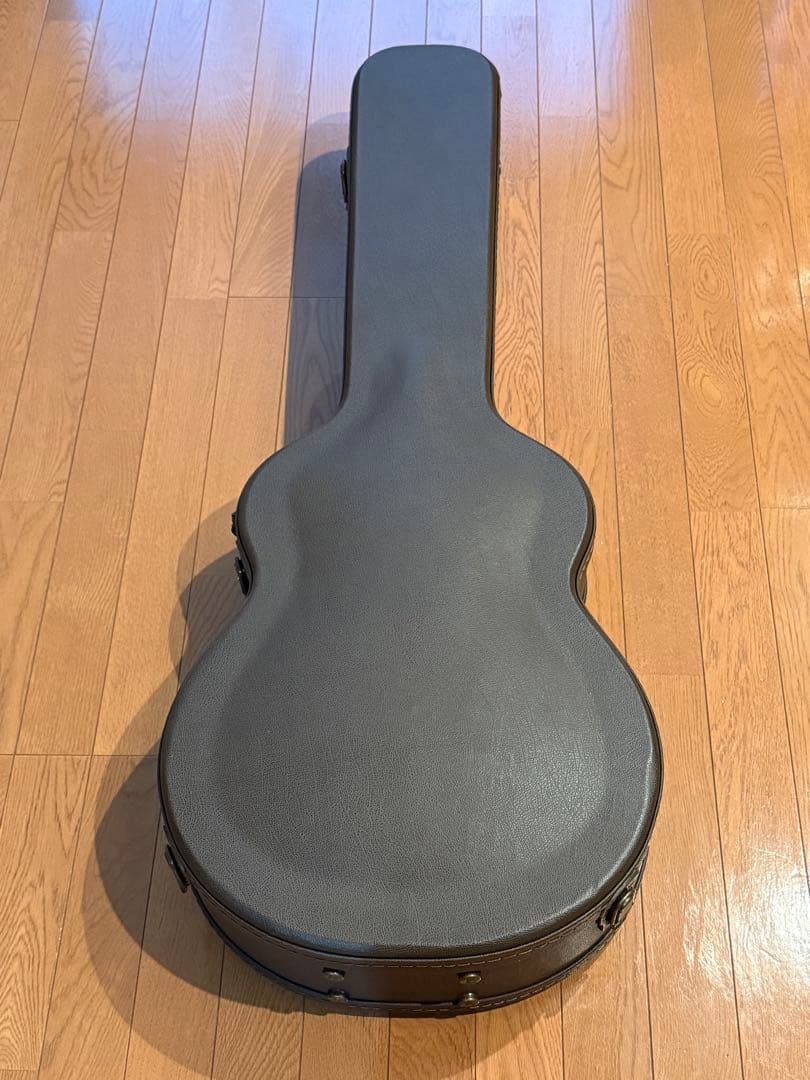 オール単板 Faith Blue Moon Venusエレアコ