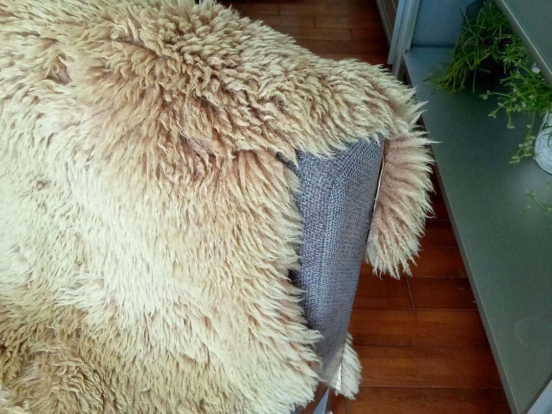 トーヨーキッチンスタイルのアイランドソファ【New York】送料込み