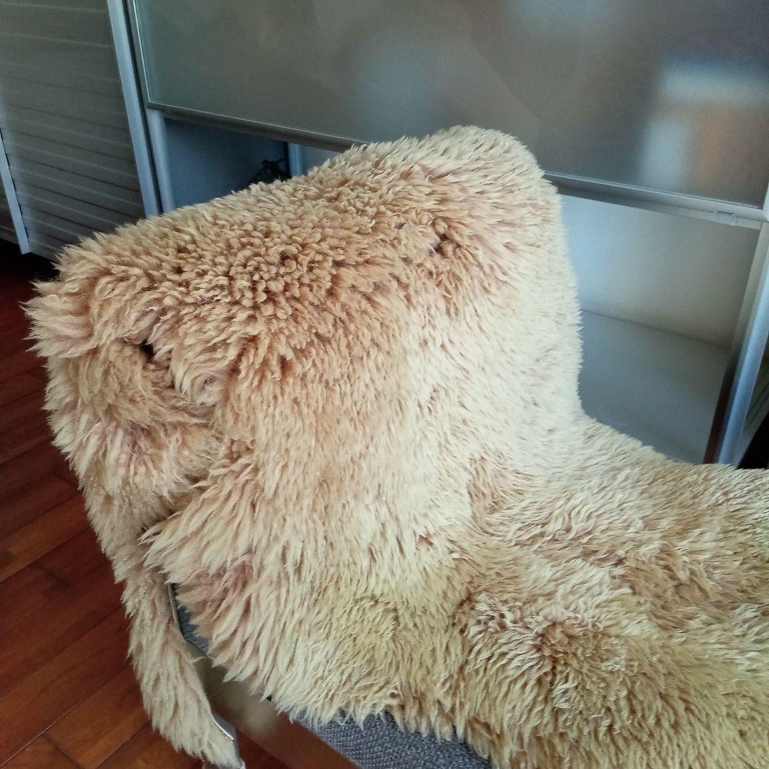 トーヨーキッチンスタイルのアイランドソファ【New York】送料込み