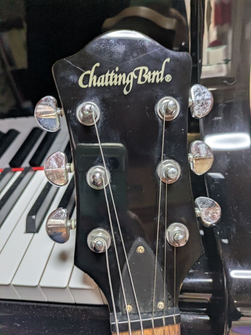 チャッティングバード　ピンク　エレキギター　モッキンバード