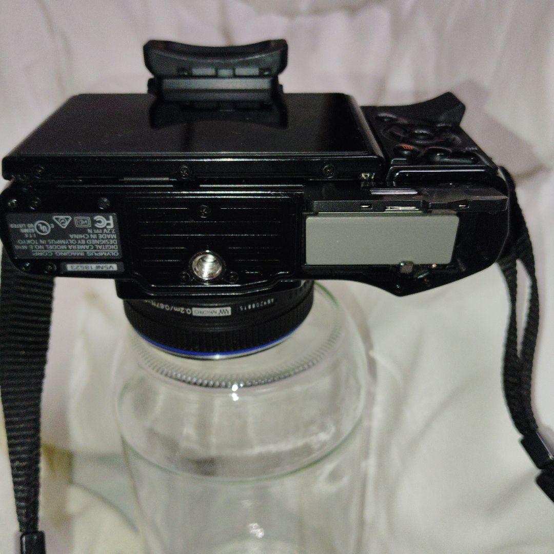 オリンパスE-M10