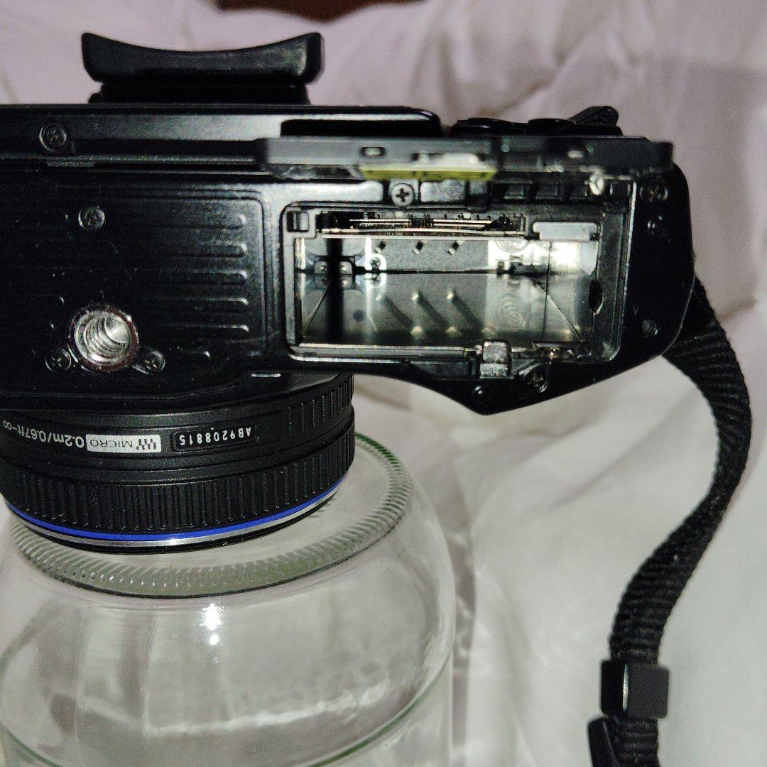 オリンパスE-M10