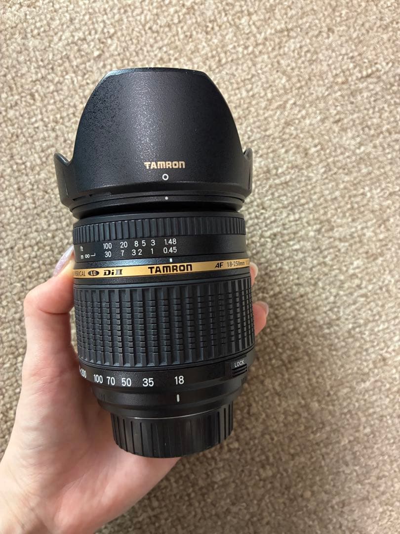 【レンズ付き】Nikon D80 デジタル一眼レフカメラ