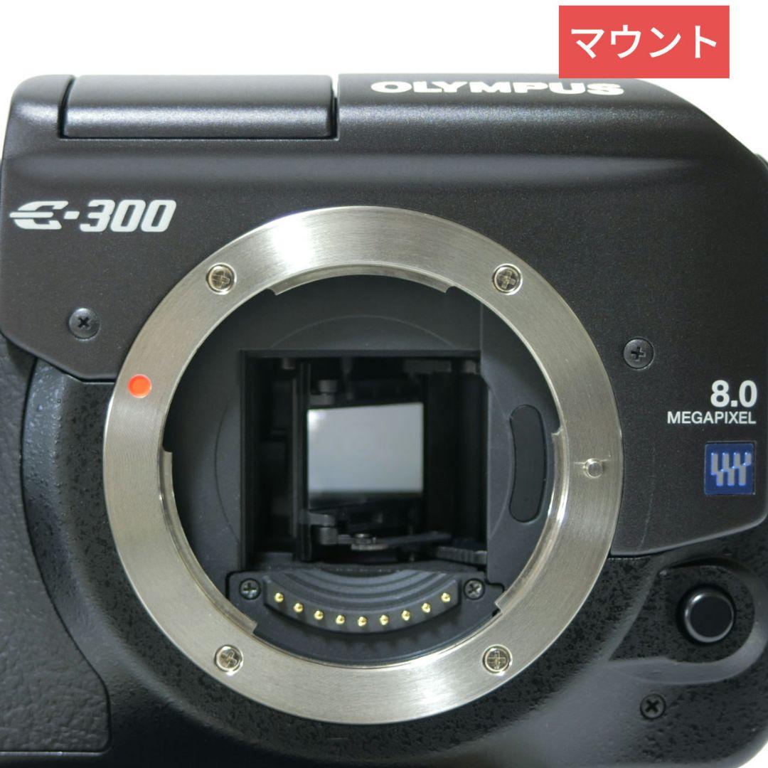 【総ショット数 54枚】オリンパス　E-300　ズームレンズ2本　未使用品多数有