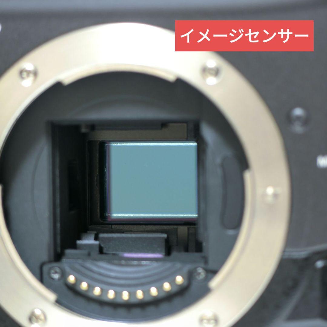 【総ショット数 54枚】オリンパス　E-300　ズームレンズ2本　未使用品多数有