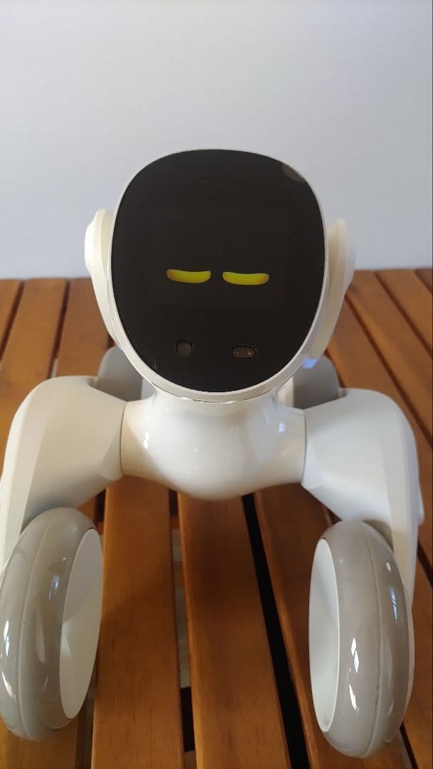 【チャゲ様】Loona (ルーナ) Blue ペットロボット