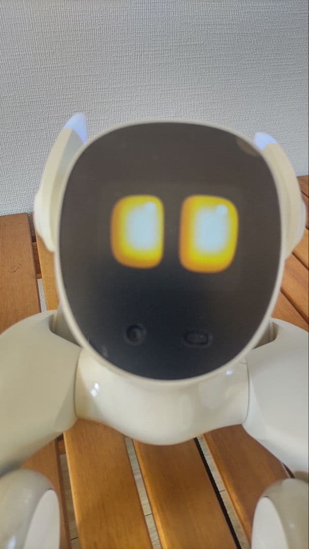 【チャゲ様】Loona (ルーナ) Blue ペットロボット